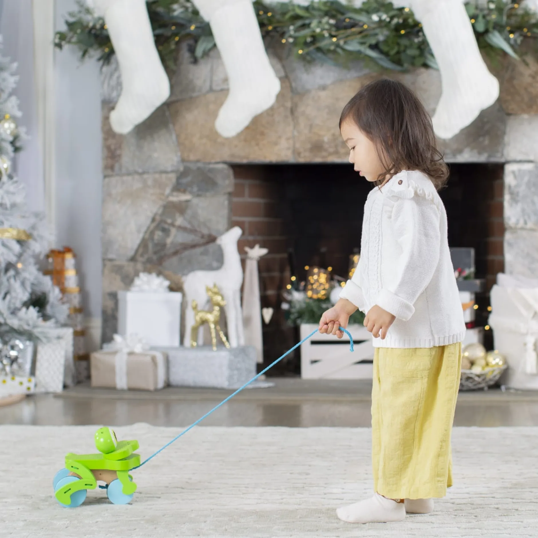 Motor Skills>Melissa & Doug First Play Frolicking Frog Wooden Pull Toy
