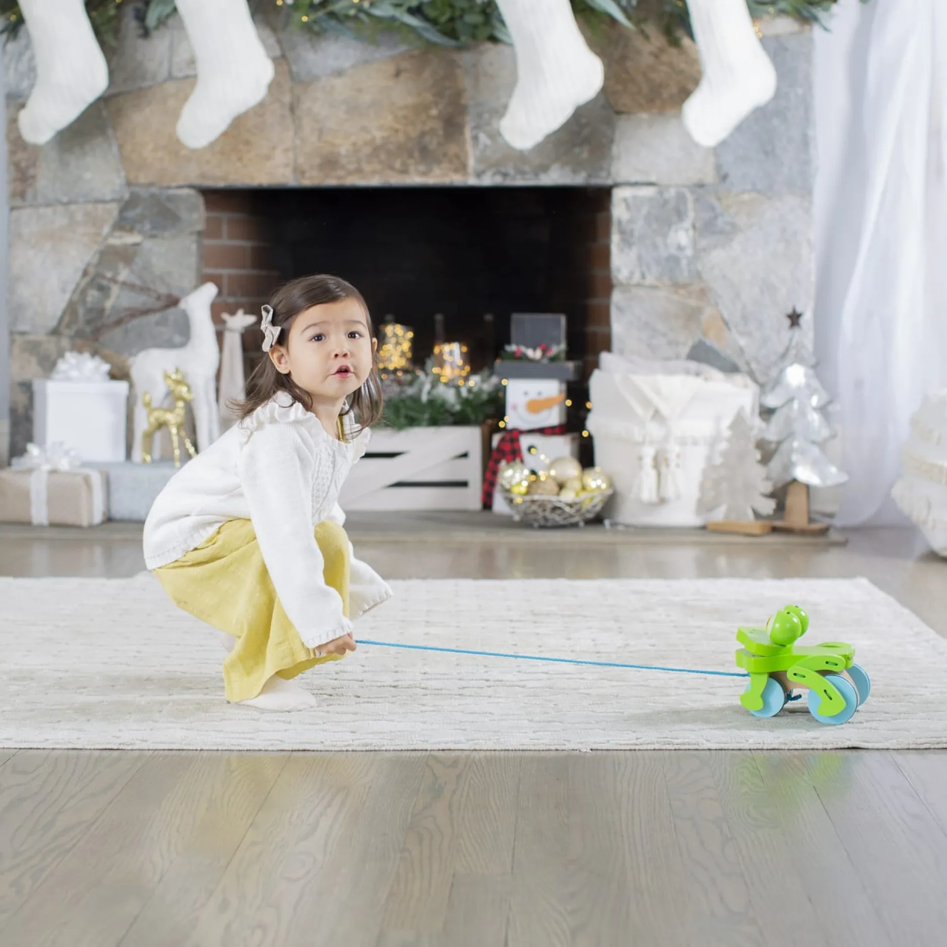 Motor Skills>Melissa & Doug First Play Frolicking Frog Wooden Pull Toy