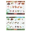 Animals & Nature Puzzles>Melissa & Doug Let's Explore Double-Sided Seek & Find Puzzle