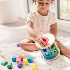 Colors & Shapes>Melissa & Doug Match and Roll Shape Sorter