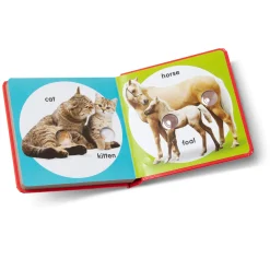 Books><noscript><img width=