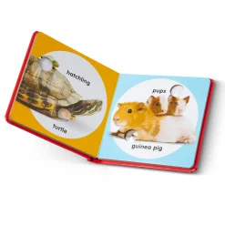 Books><noscript><img width=