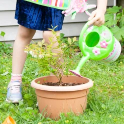 Outdoor Toys><noscript><img width=