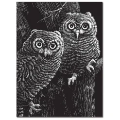 Activity Books><noscript><img width=